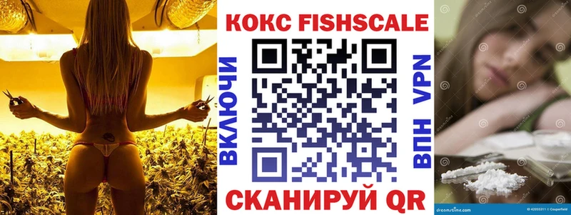 Купить где  Кстово  COCAIN Fish Scale 