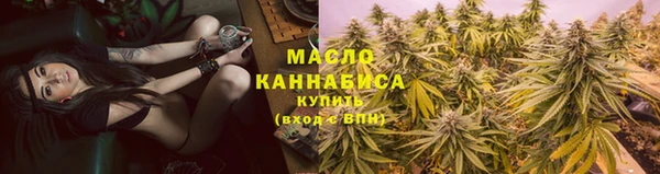 тгк Гусев