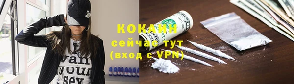 тгк Гусев