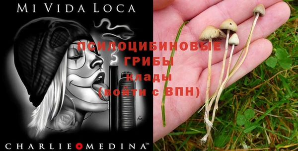 тгк Гусев
