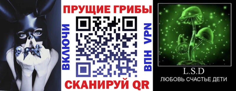 Купить где  Кстово  Псилоцибиновые грибы ЛСД 